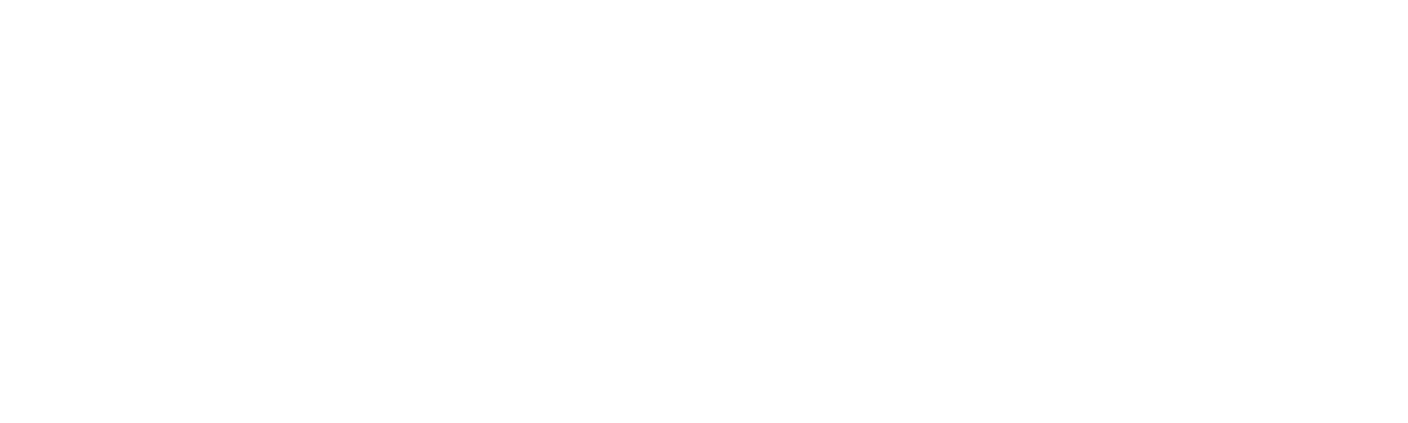 pm logo